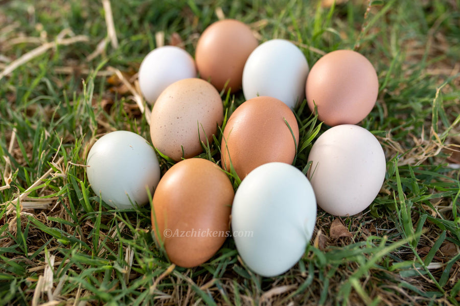 Rainbow Mix Eggs