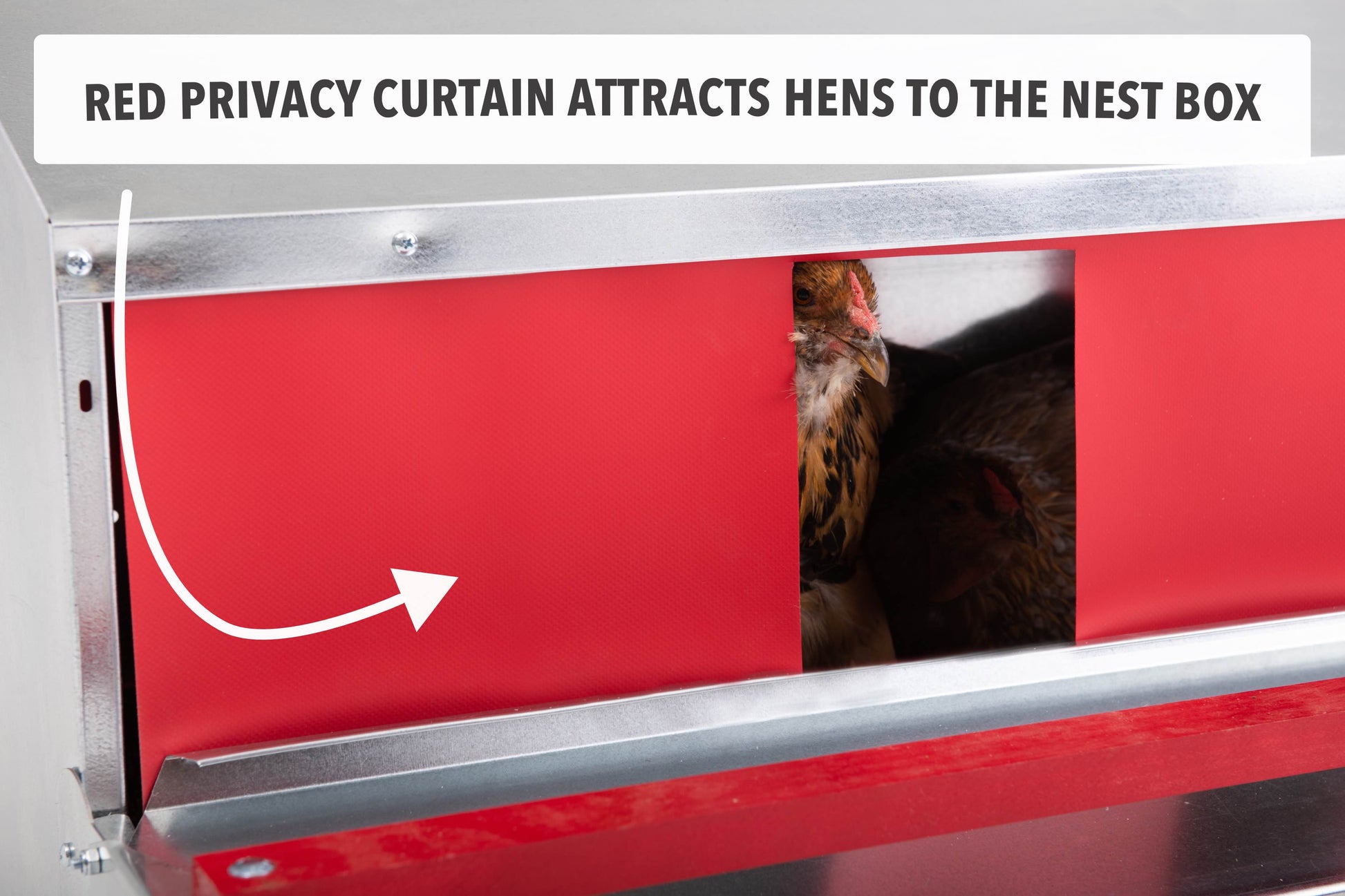 Galvanized steel 34-inch rollout nest box by HenGear for up to 32 hens