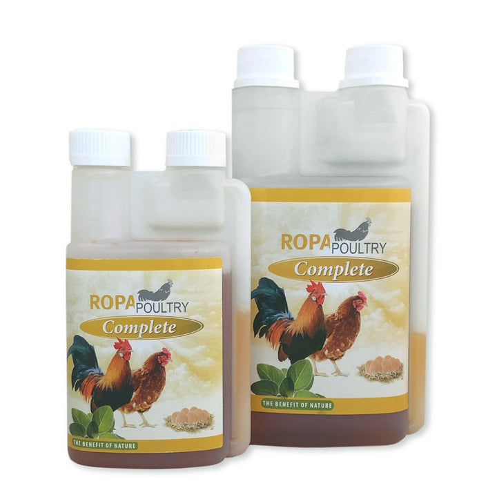 Kit de inicio para pollitos premium