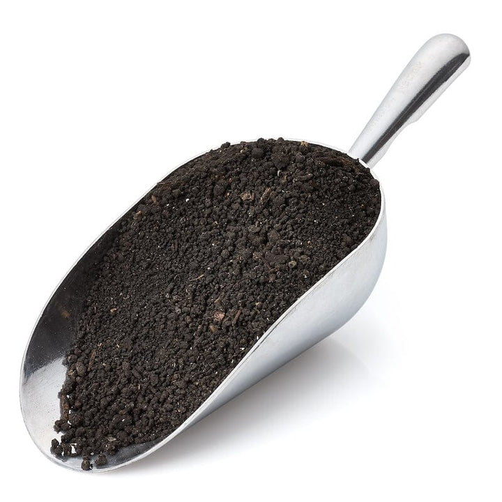 Urban Worm Complete Vermicomposting Starter Bundle Kit