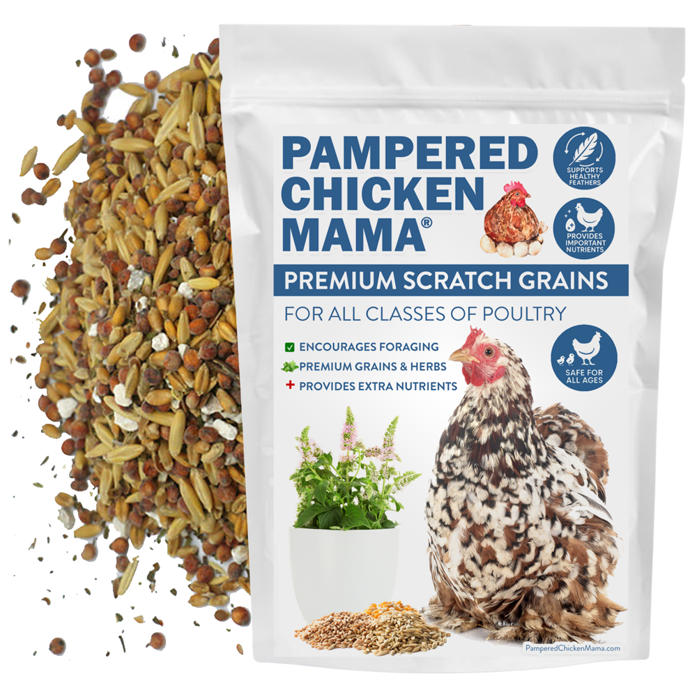 Premium Non-GMO chicken scratch mix with herbs in a 2.5-pound bag by Dahlia Pets, ideal for poultry feeding.