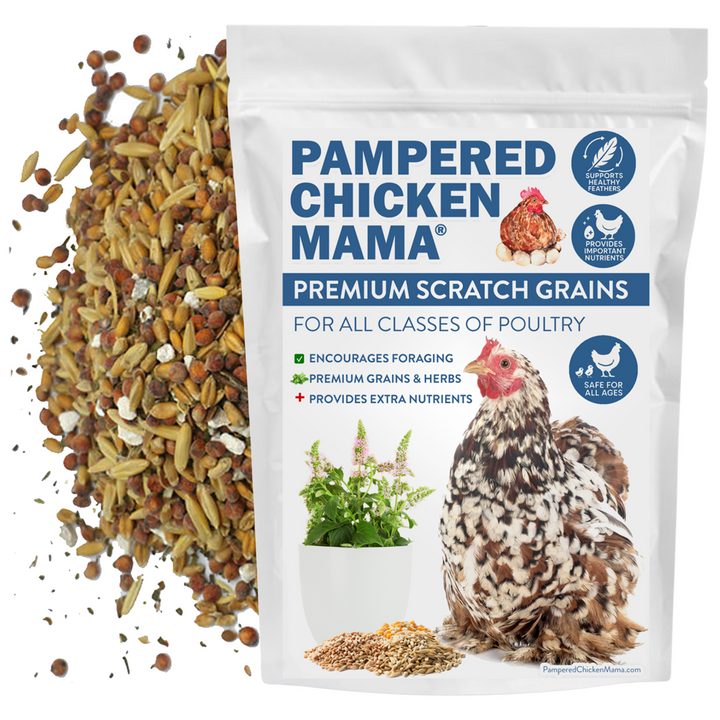 Premium Non-GMO chicken scratch mix with herbs in a 2.5-pound bag by Dahlia Pets, ideal for poultry feeding.