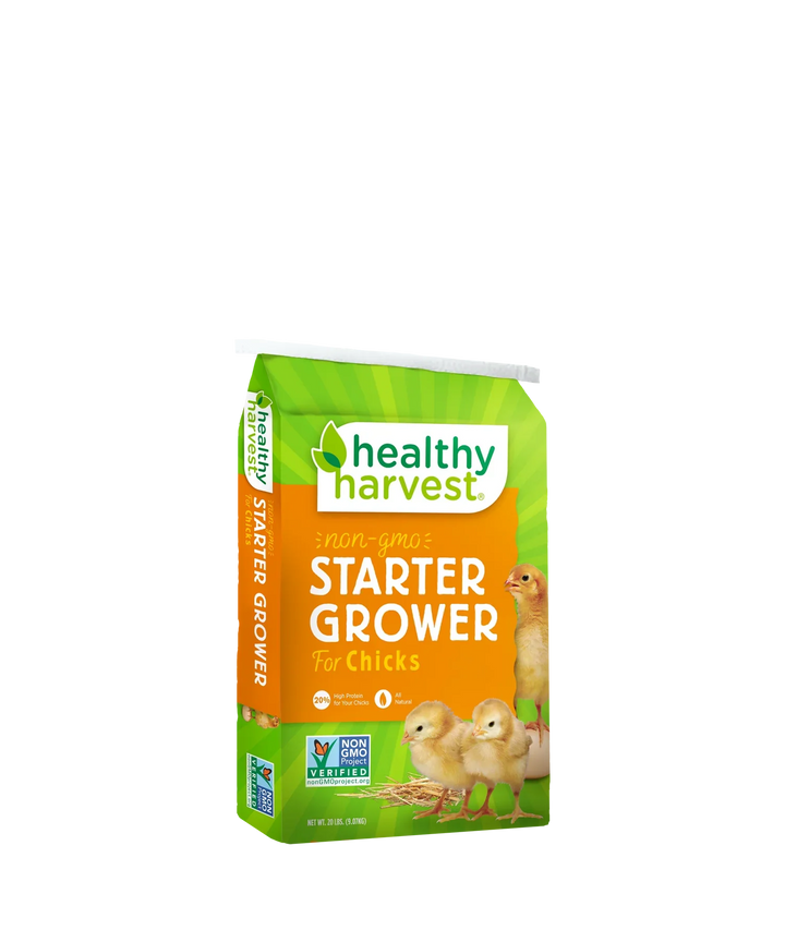 Healthy Harvest Non-GMO Chick Starter Feed, 20% protein, 40 lb bag, suitable for baby chicks and backyard chickens.