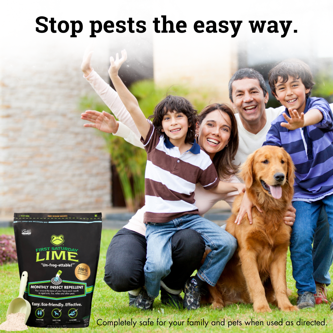 First Saturday Lime Safe Natural Insect Repellent & Odor Control