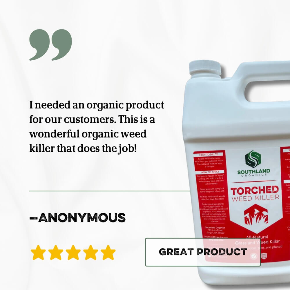 Southland Organics Torched All-Natural Weed Killer in a 2.5-gallon container, eco-friendly solution for turf.