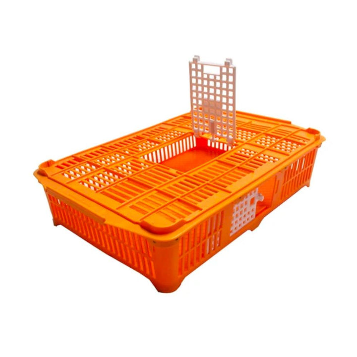 Transport Coop (Small) 2 Door - Game Bird