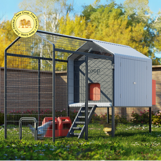 Smart Automated Chicken Coop + Steel Run - AI Cameras & App Control