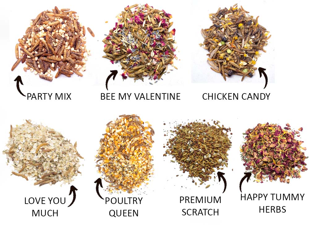 Valentine's Chicken Treat Box by Dahlia Pets with 7 varieties, including Party Mix, Chicken Candy, and Happy Tummy Herbs.