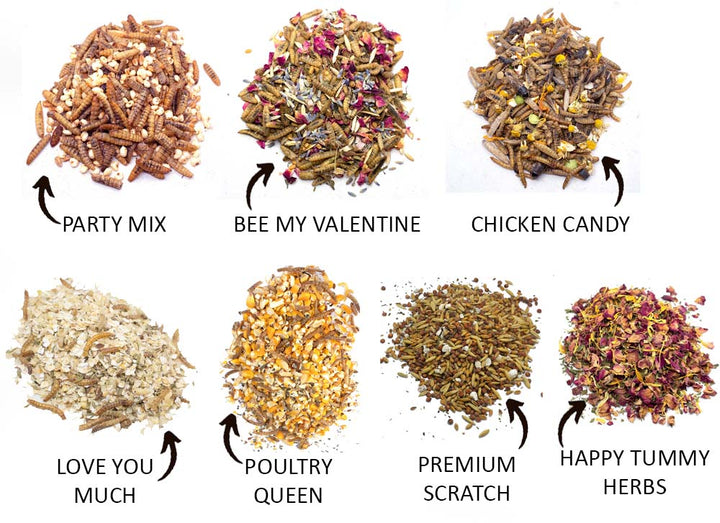 Valentine's Chicken Treat Box by Dahlia Pets with 7 varieties, including Party Mix, Chicken Candy, and Happy Tummy Herbs.