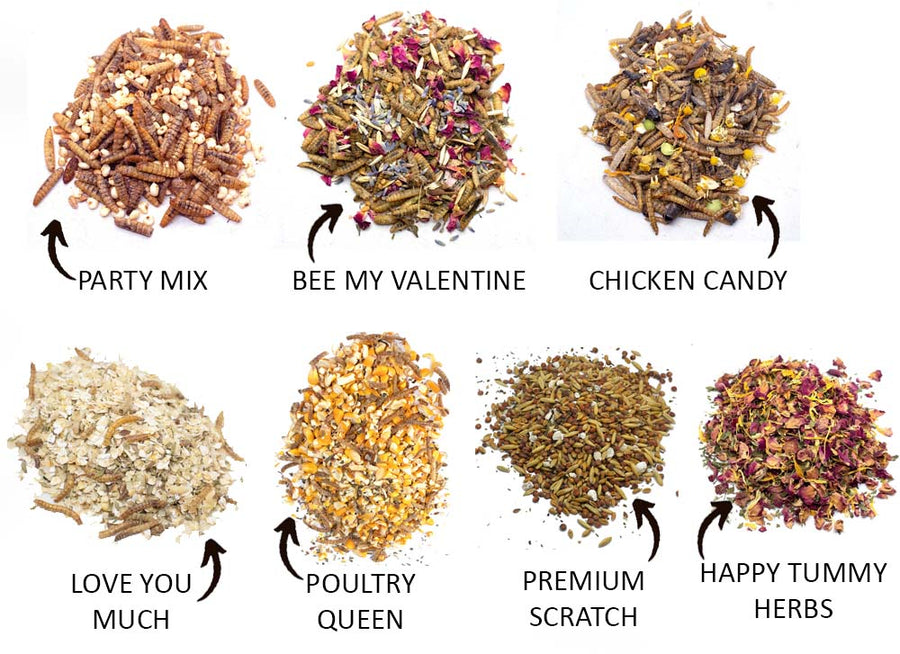 Valentine's Chicken Treat Box by Dahlia Pets with 7 varieties, including Party Mix, Chicken Candy, and Happy Tummy Herbs.