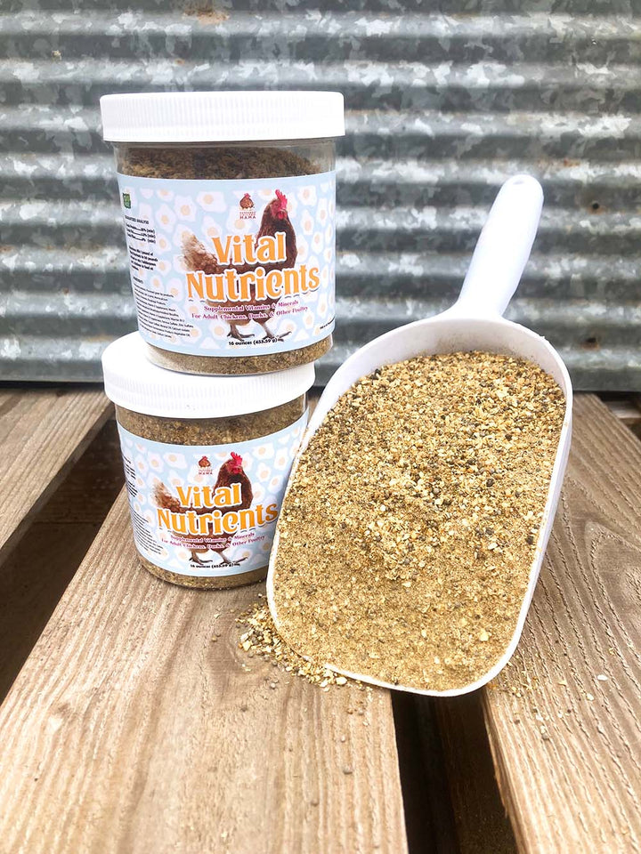 Vital Nutrients essential vitamin and mineral supplement for chickens and ducks in two jars and a scoop on wooden surface.