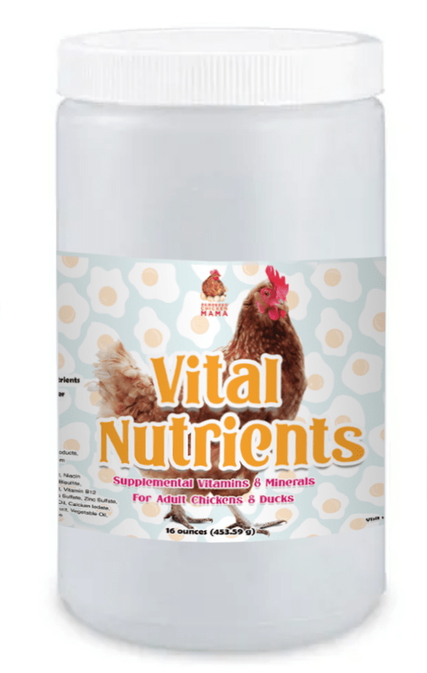 Container of Vital Nutrients herbal supplements for adult chickens, part of Dahlia Pets' winter chicken coop bundle.