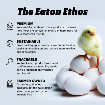 Almohadillas premium para nidos de pollos (paquete de 10) - EE. UU. Aspen Excelsior