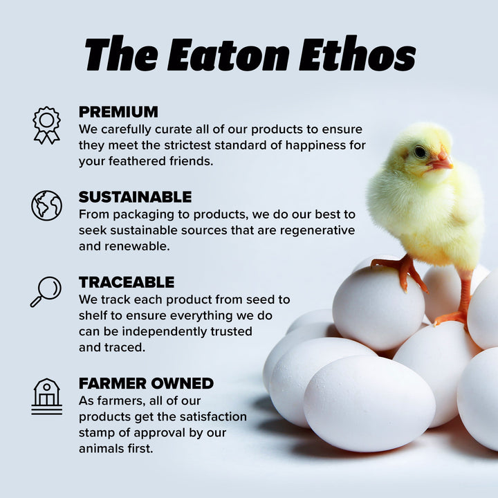 Premium Chicken Nesting Pads 10 Pack - USA Aspen Excelsior