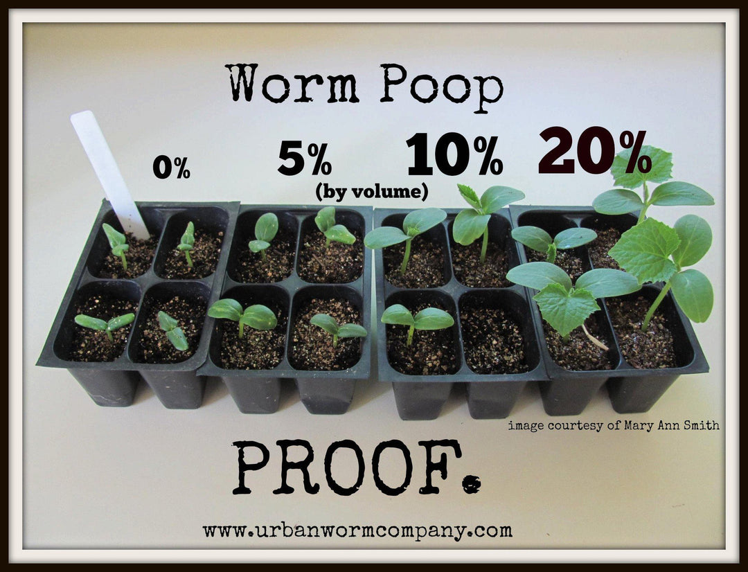 Urban Worm Company Organic Worm Castings - Premium Soil Amendment