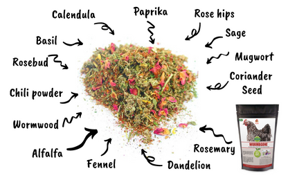 Natural green and yellow WormBGone nesting herbs for chickens, available in 10 oz, 20 oz, and 4 lbs sizes.