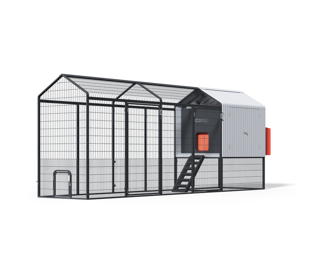 Smart Automated Chicken Coop + Steel Run - AI Cameras & App Control