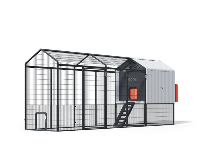 Smart Automated Chicken Coop + Steel Run - AI Cameras & App Control