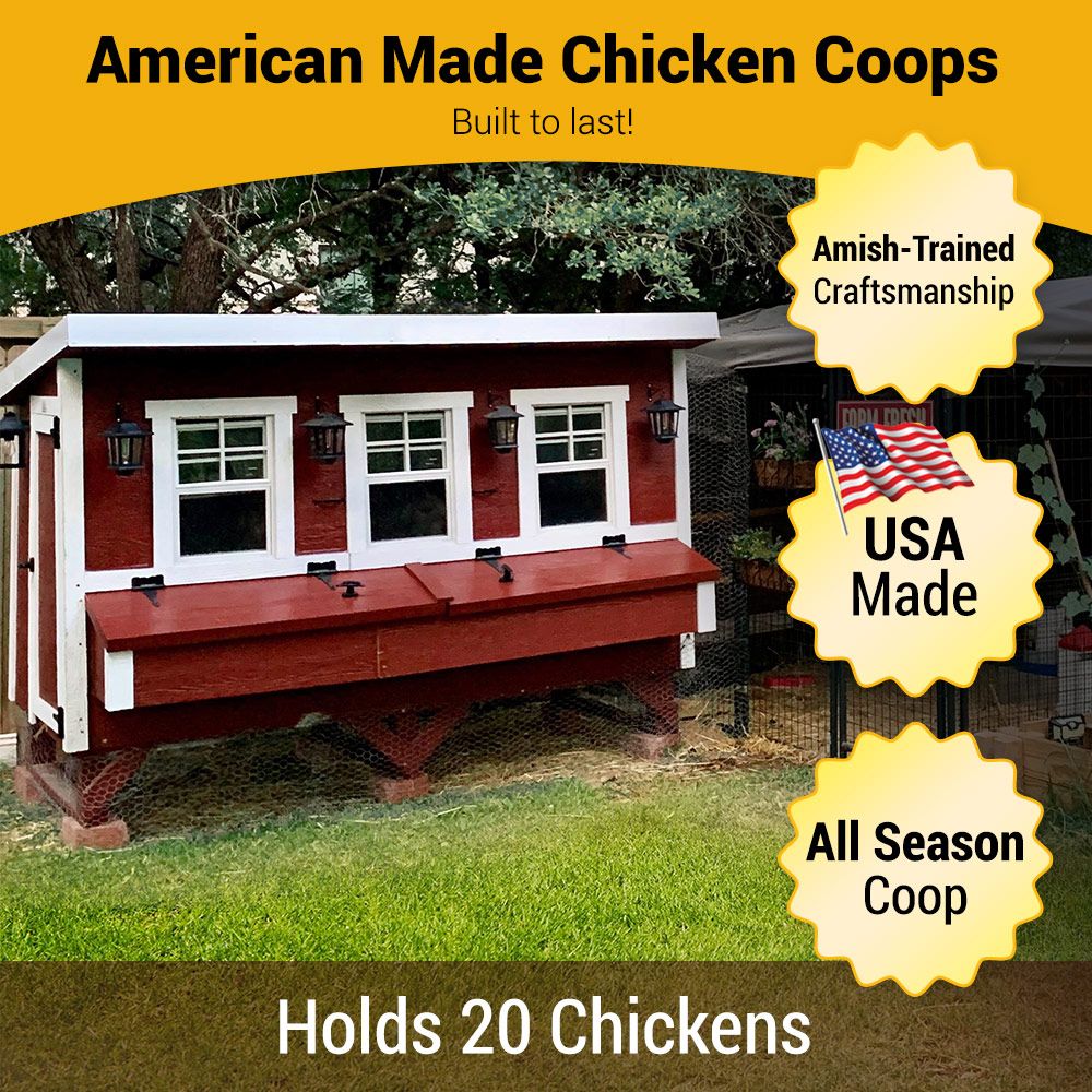 XL Chicken Coop - Up to 20 Chickens