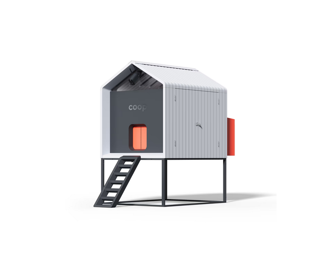 Smart Automated Chicken Coop + Steel Run - AI Cameras & App Control