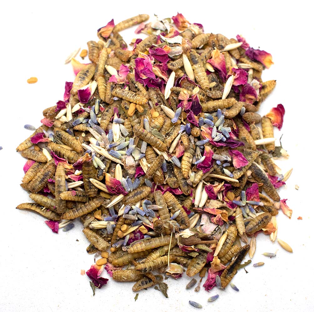 Valentine's Chicken Treat Box by Dahlia Pets with 7 premium treats, including dried larvae and flower petals.