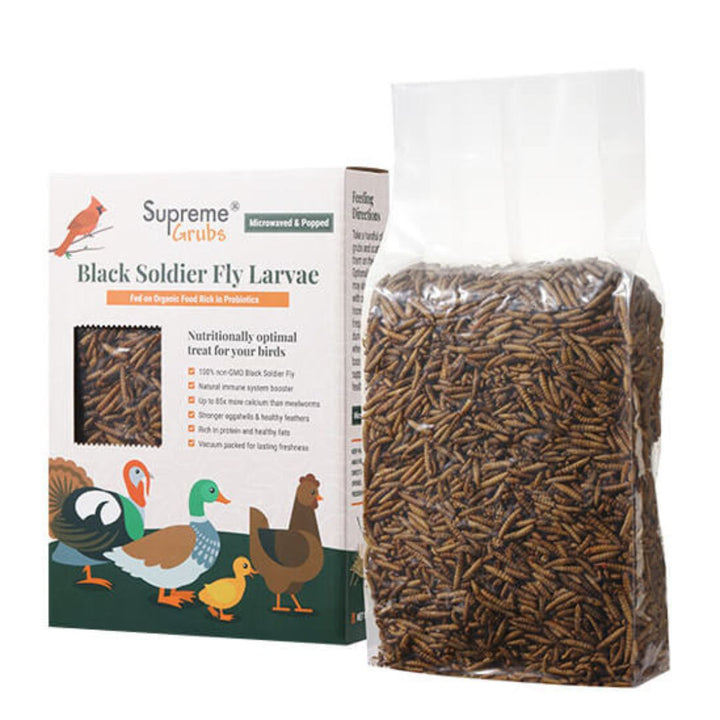 Kit de inicio para pollitos premium