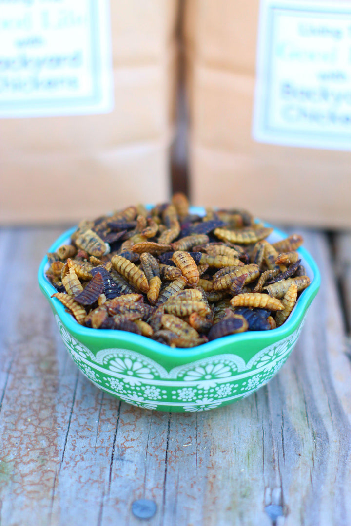Dried Black Soldier Fly Larvae - USA Sourced Chicken Treats 50x Calcium