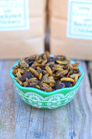 Dried black soldier fly larvae treats in a clear bag, labeled 50x calcium, by Dahlia Pets for chickens.