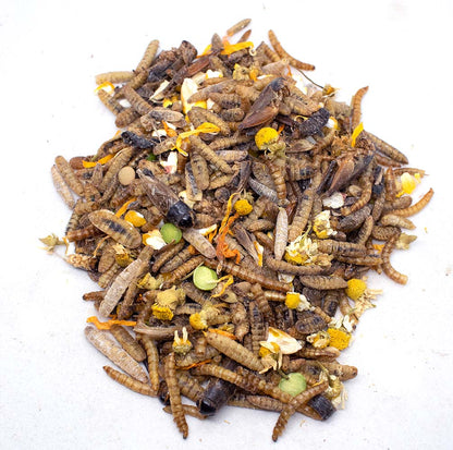 High-protein chicken treats mix of mealworms, crickets, and BloomGrubs by Dahlia Pets in natural colors.