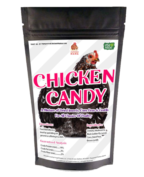 High-protein chicken treats mix with mealworms, crickets, and BloomGrubs, 4-pound bag by Dahlia Pets.