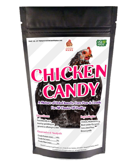 High-protein chicken treats mix of mealworms, crickets, and BloomGrubs by Dahlia Pets in natural colors.