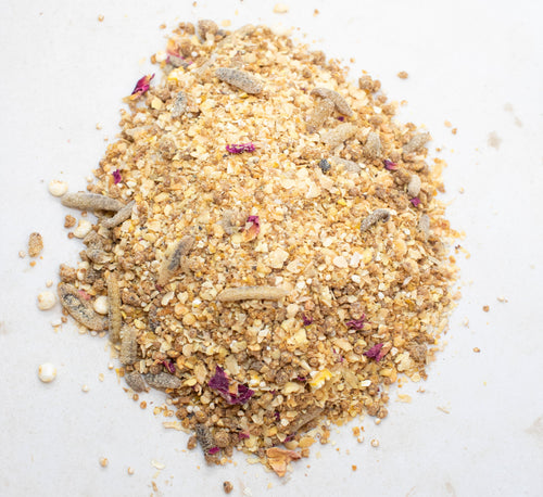 Protein-rich treat for baby chicks with mealworms, featuring a blend of grains and floral bits, from Dahlia Pets.