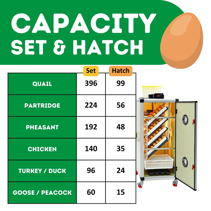 HB175 C - Egg Incubator - Setter & Hatcher