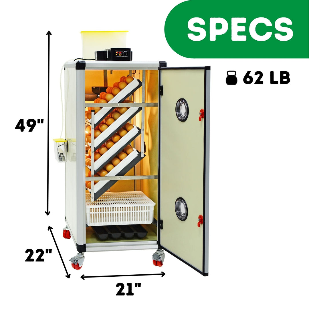 HB175 C - Egg Incubator - Setter & Hatcher