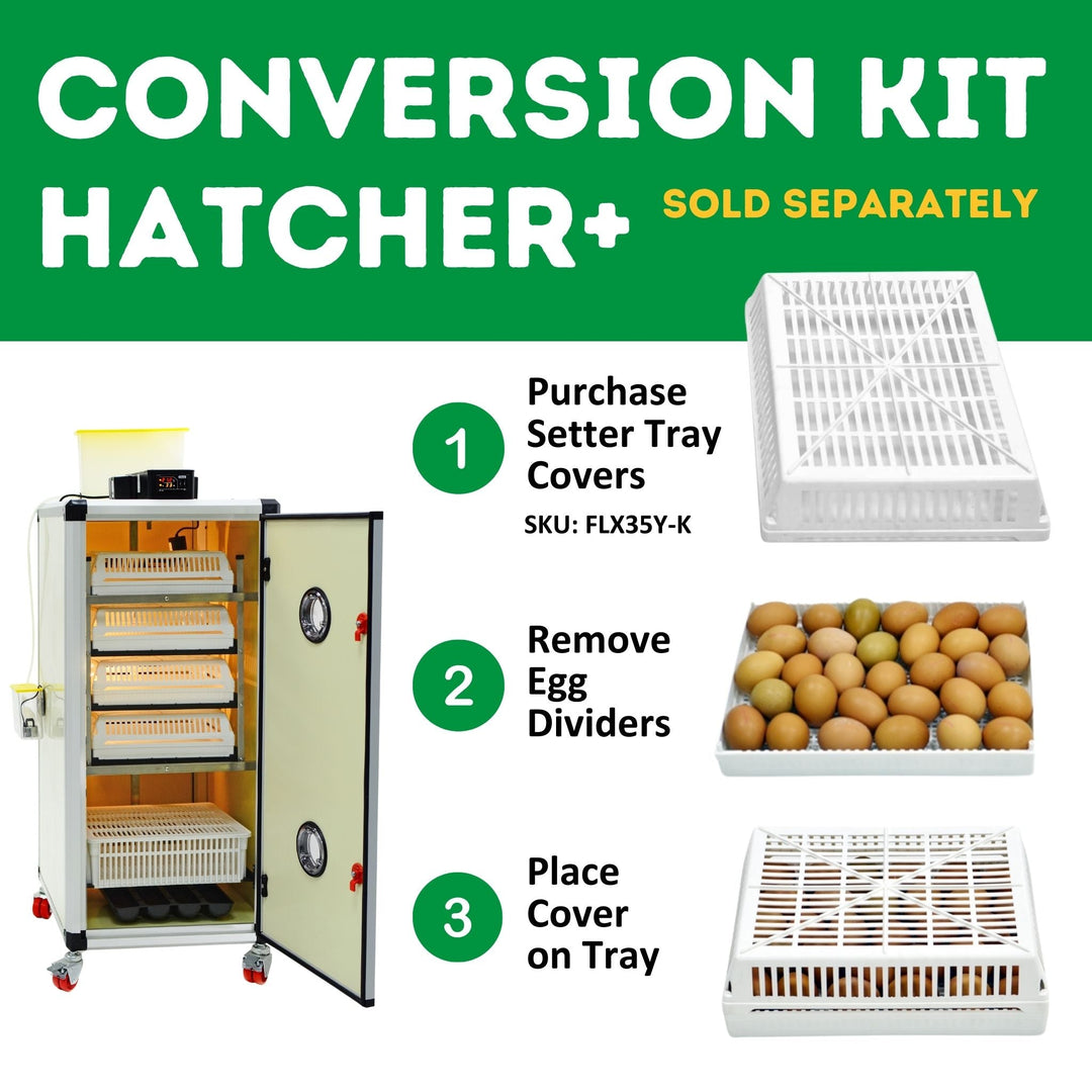 HB175 C - Egg Incubator - Setter & Hatcher