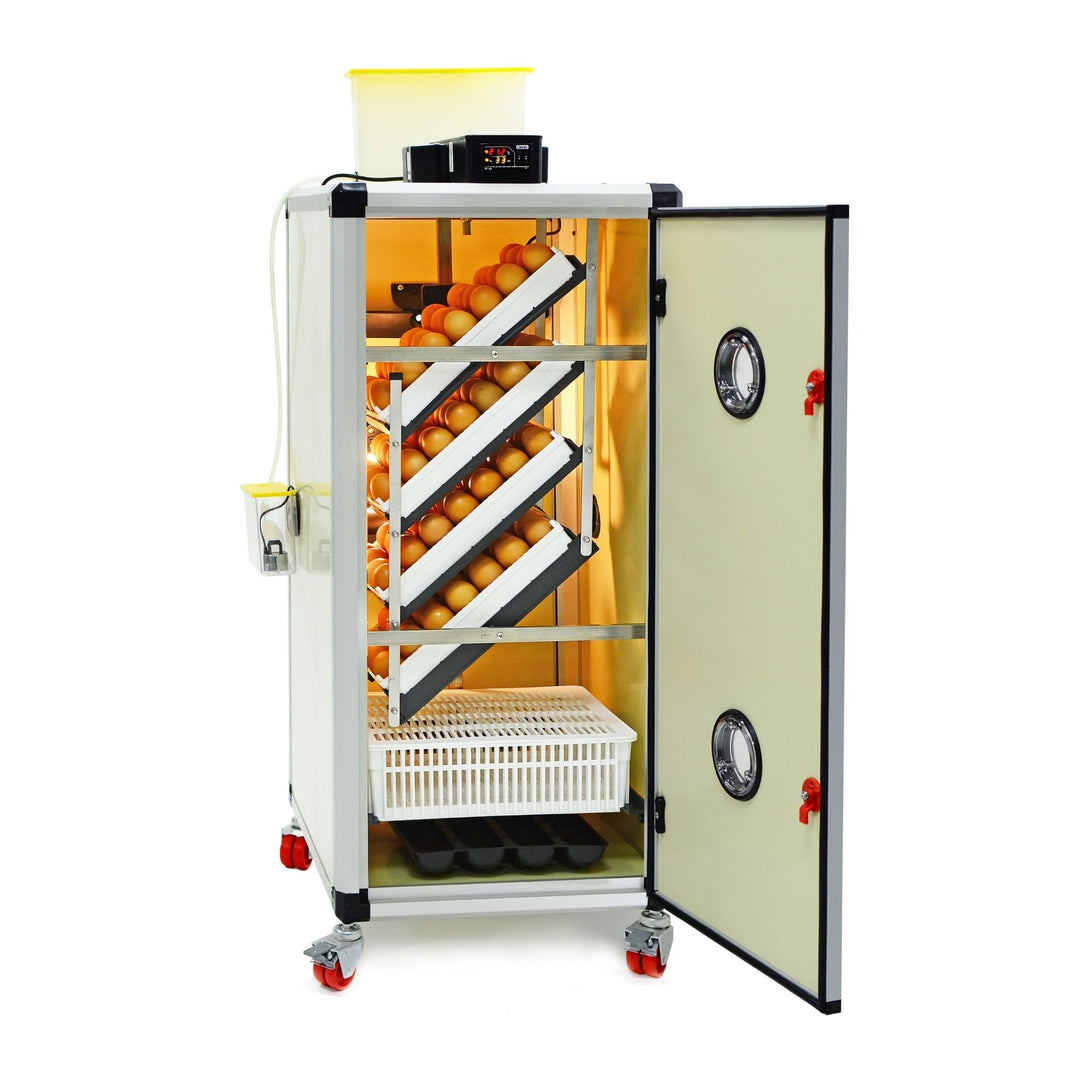 HB175 C - Egg Incubator - Setter & Hatcher