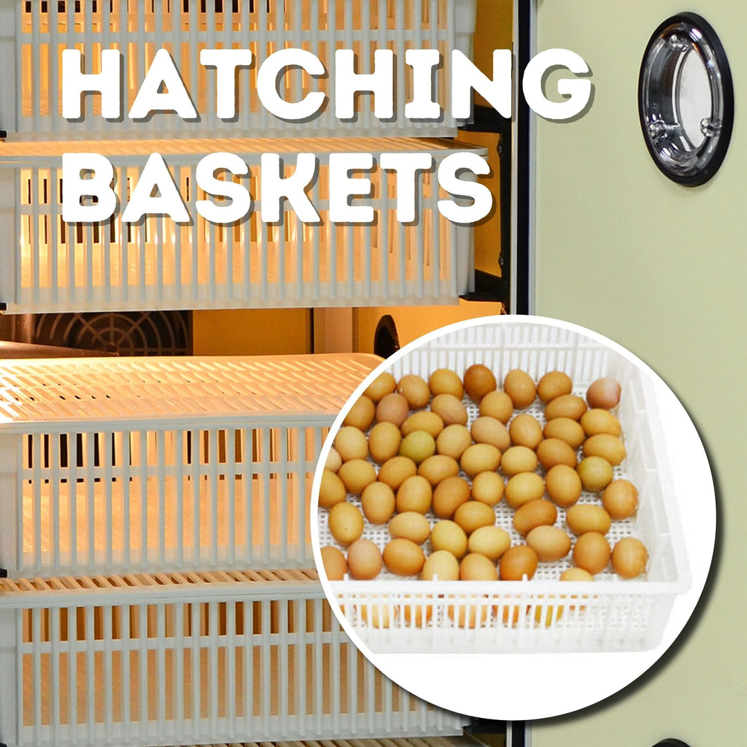 HB175 H - Egg Incubator - Hatcher