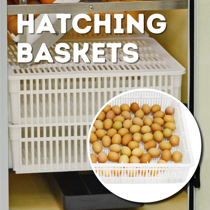 HB500 C - Egg Incubator - Setter & Hatcher