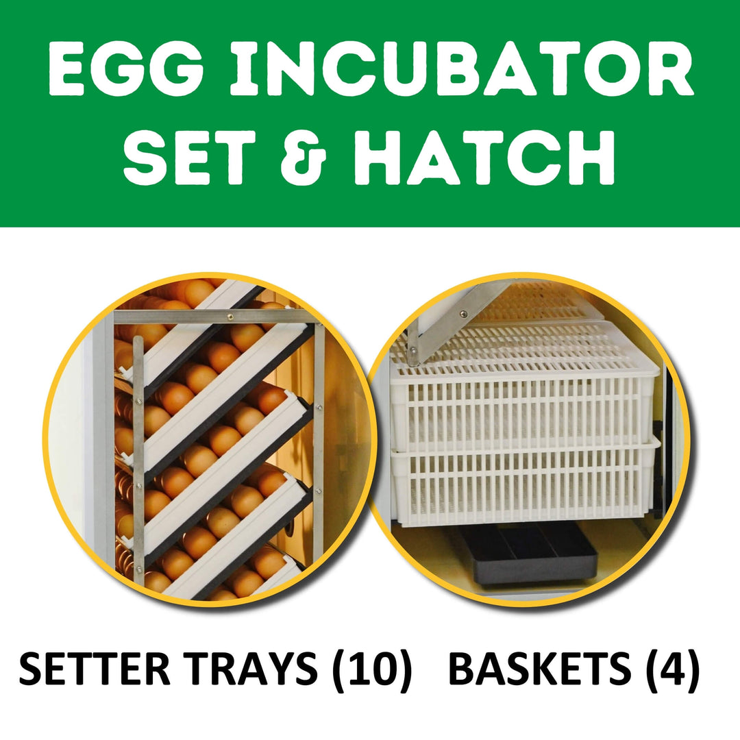 HB500 C - Egg Incubator - Setter & Hatcher