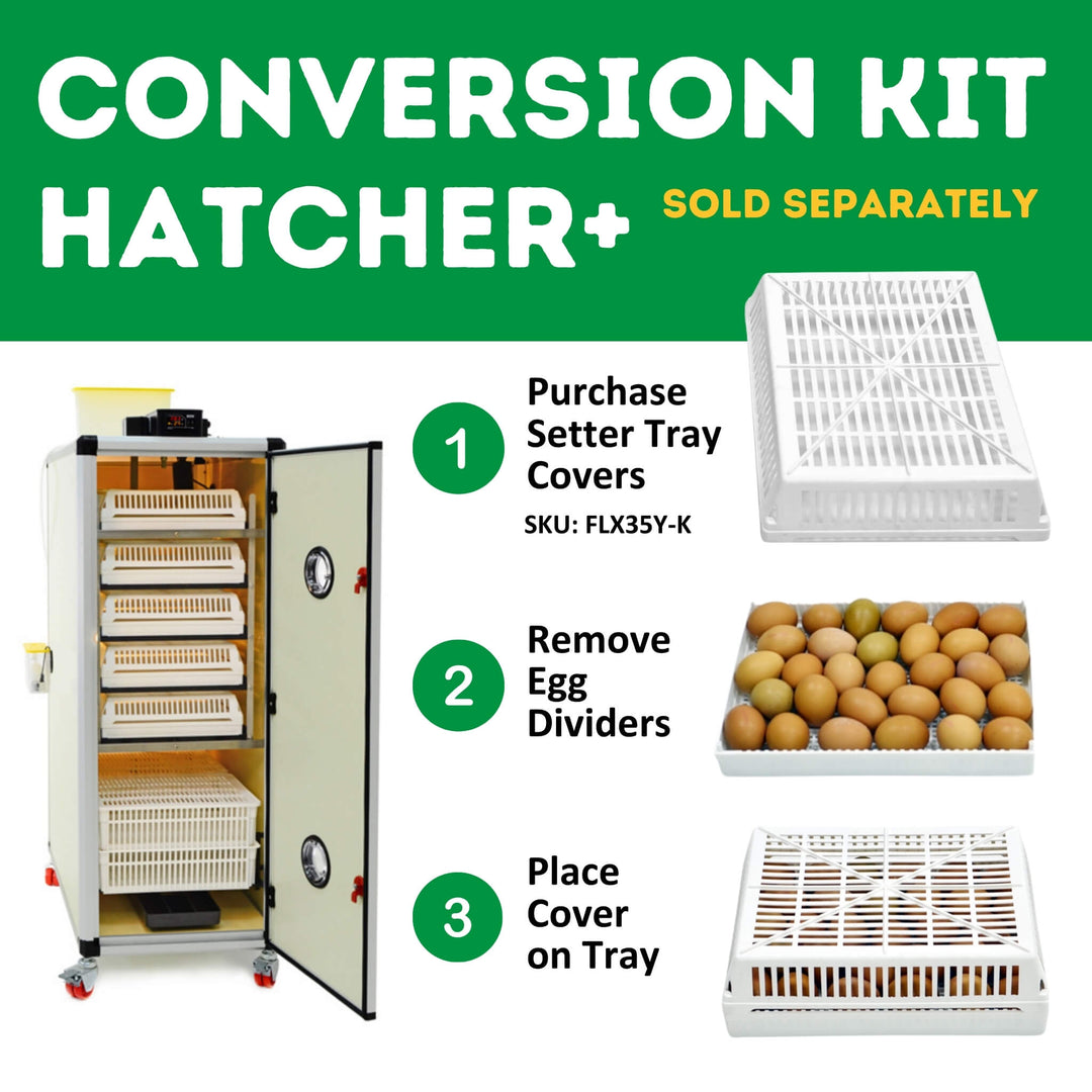 HB500 C - Egg Incubator - Setter & Hatcher