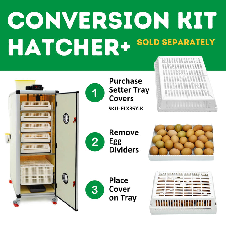 HB500 C - Egg Incubator - Setter & Hatcher