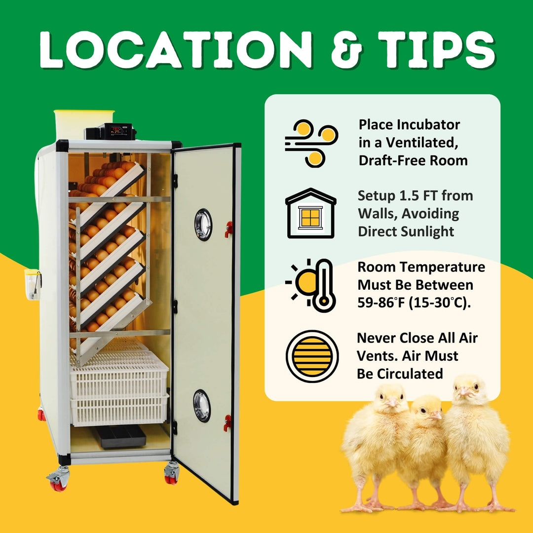 HB500 C - Egg Incubator - Setter & Hatcher