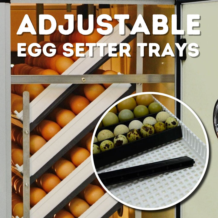 HB700 C - Egg Incubator - Setter & Hatcher