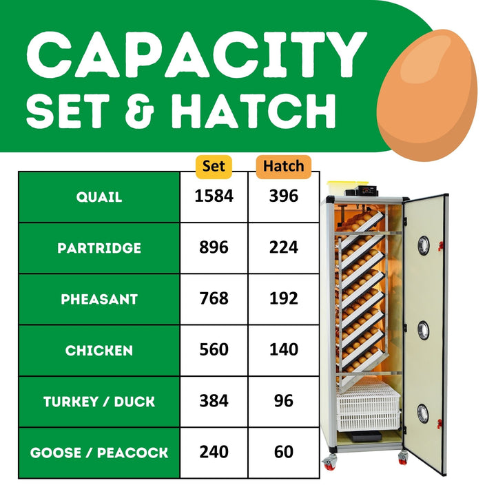 HB700 C - Egg Incubator - Setter & Hatcher