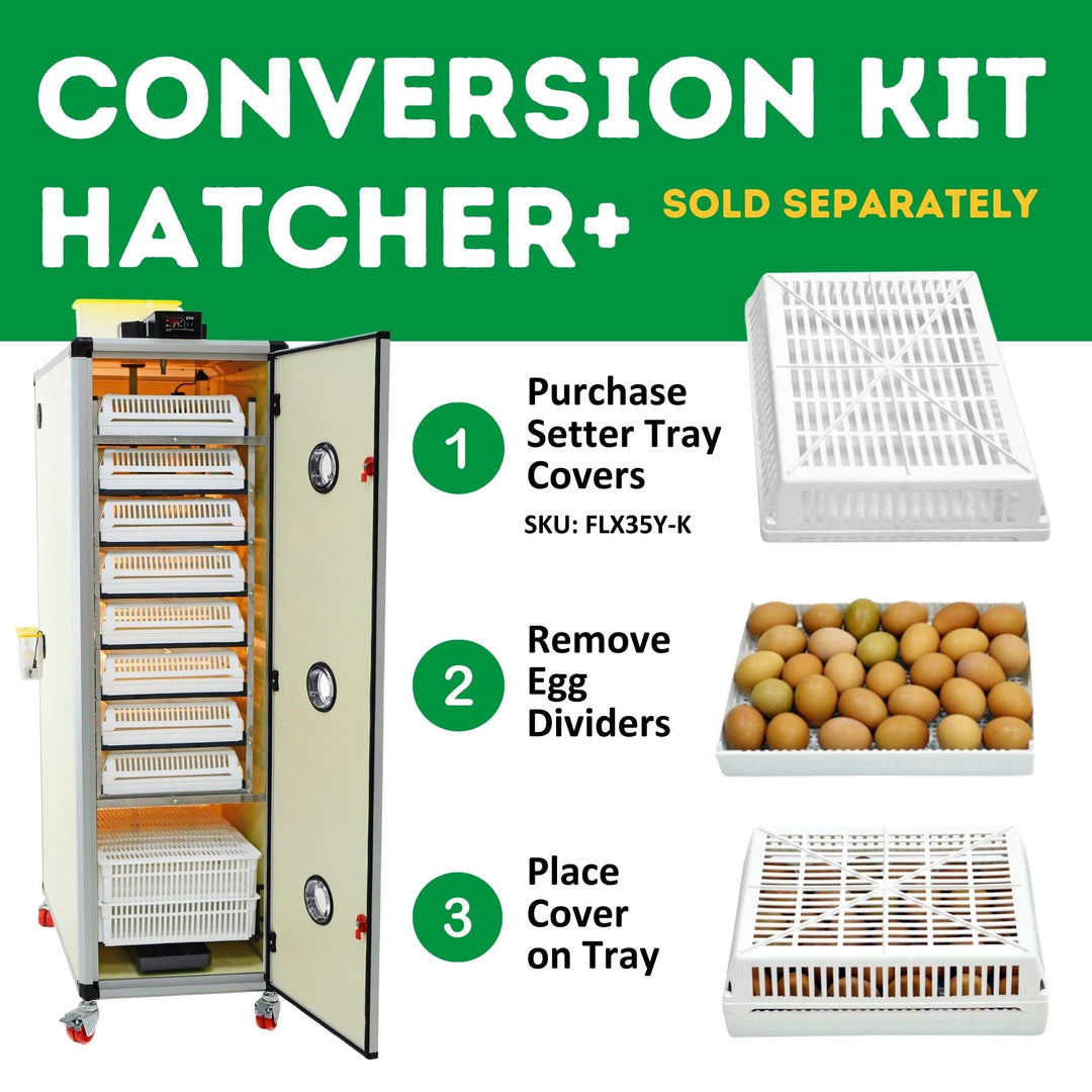 HB700 C - Egg Incubator - Setter & Hatcher