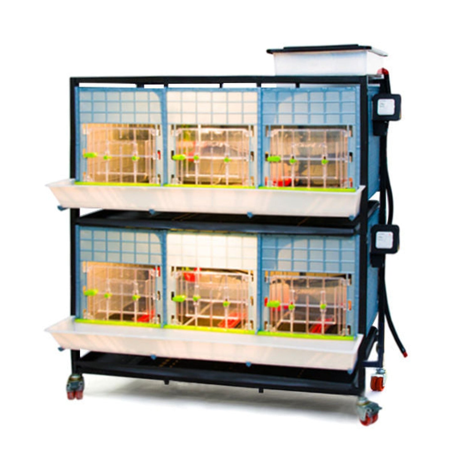 
                  
                    Chick Brooder - 2 Layer H: 15"
                  
                