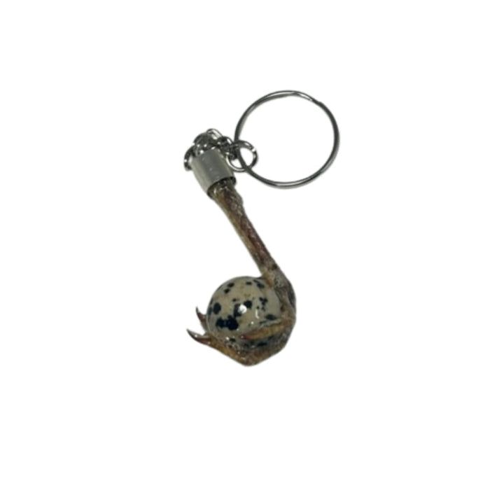 Quail Feet Necklace and Chain