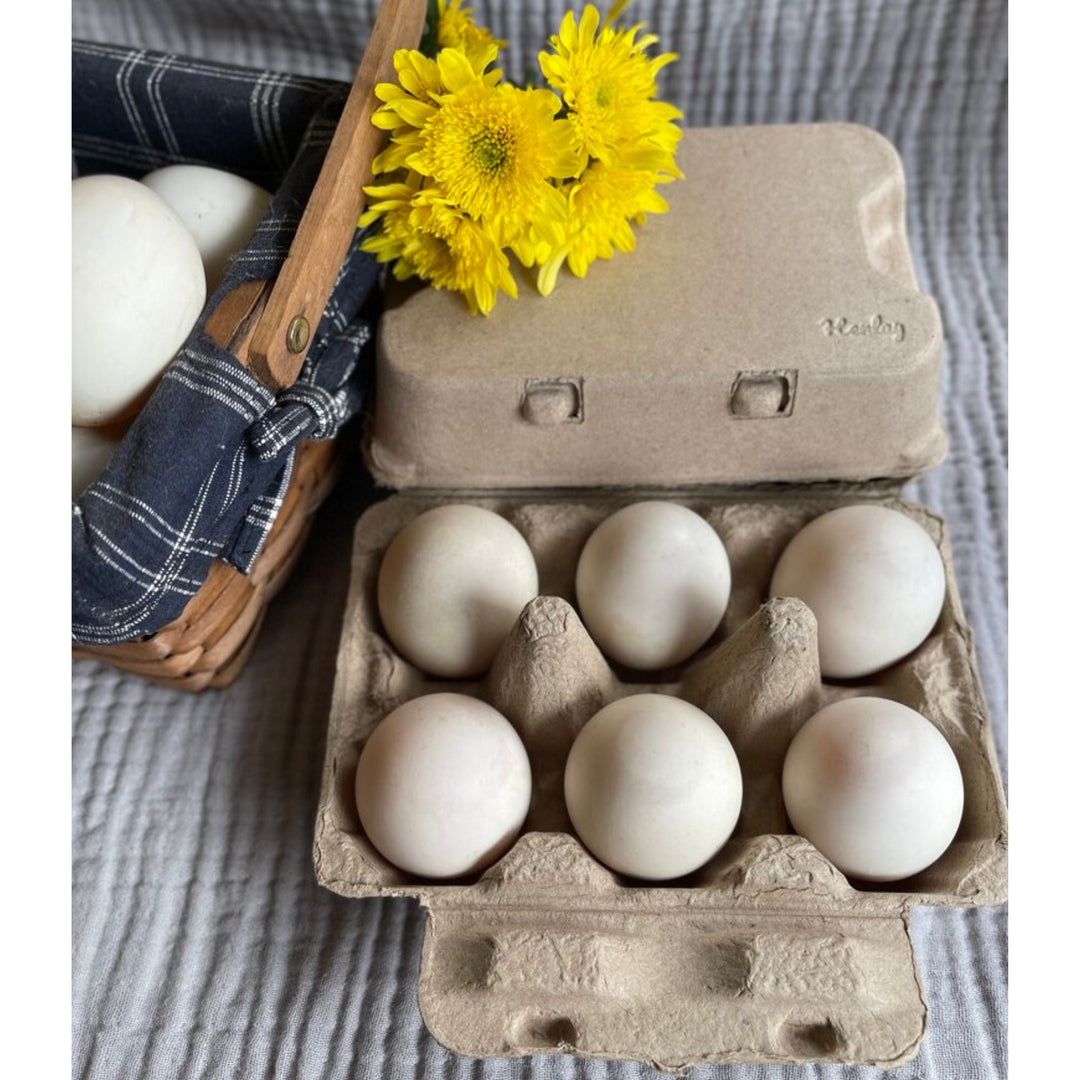 Henlay Duck Egg Cartons - Holds Half Dozen Jumbo Eggs- Blank Flat Top, 2 colors, 20 or 100