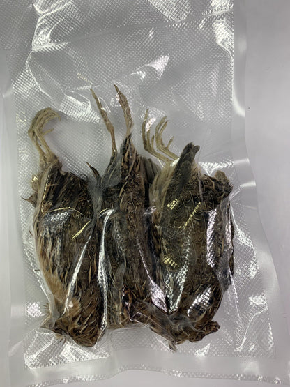 Whole dehydrated quail for bird dog training, packed in clear vacuum-sealed bag by Quailz.com.
