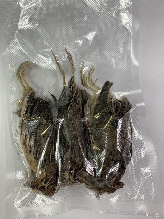 Dehydrated whole quail in a clear bag, ideal for bird dog training and falconry by Quailz.com.